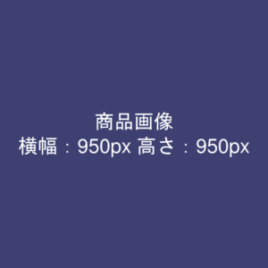 【DUMMY】商品画像（950x950）