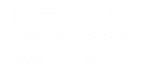 SEITAI WAVE