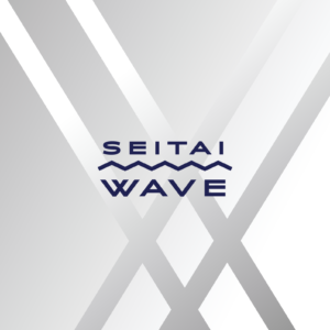 SEITAI WAVE